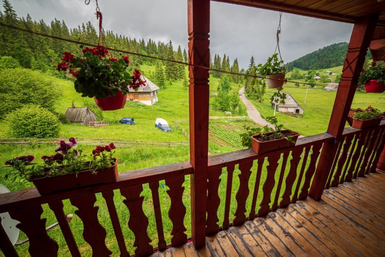 Cabana Cret Ocoale Bagian luar foto