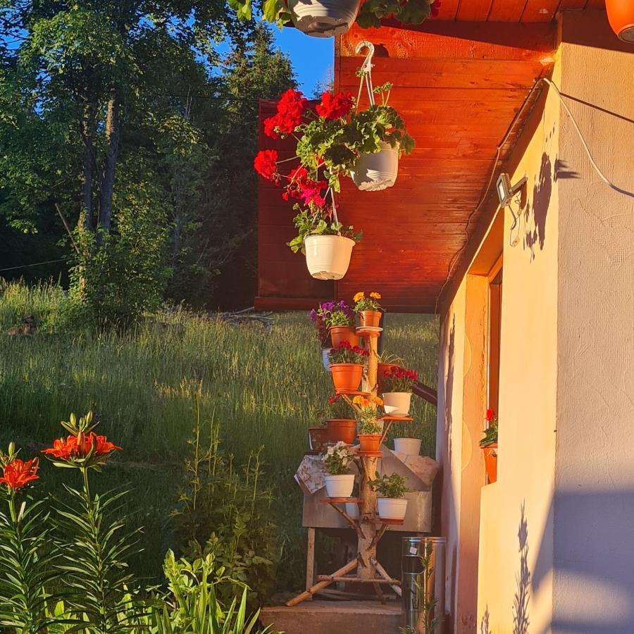 Cabana Cret Ocoale Bagian luar foto